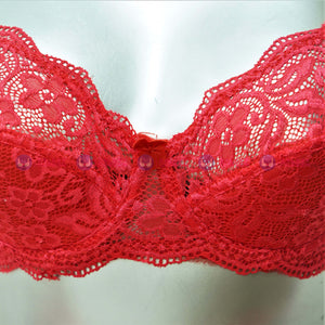 Stylish Lace Underwired Bra Set For Teen Ages (6223)