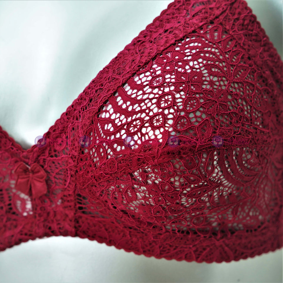 Soft Lace Summer Net Bra For Ladies (2040)