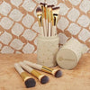 BH Cosmetic Brush Set With Gorgeous Packing