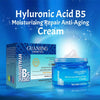 B5 Hyaluronic Anti-Aging Facial Creams  (ZD-004)